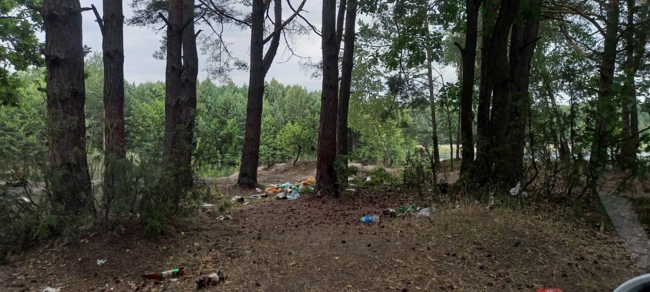 Как отдыхать не нужно. Красный двор. Лес. Правый берег озера