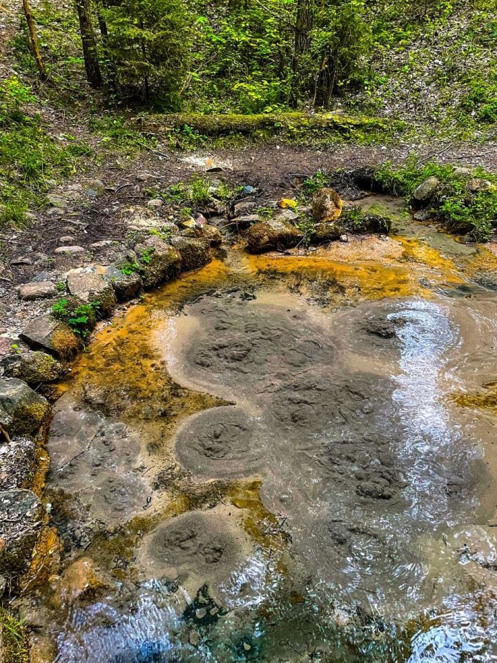 Кусочек атмосферы Азорских островов (или Исландии, по-вкусу) в Брестской области