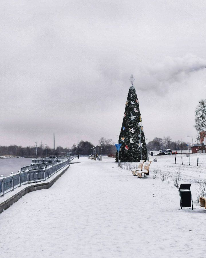 Ёлка на Набережной Бреста