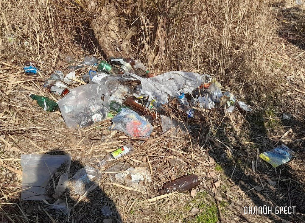 Читатель: Ходили с друзьями на рыбалку за Дворцом водных видов спорта. Время провели классно, но вот свалка мусора просто шокировала