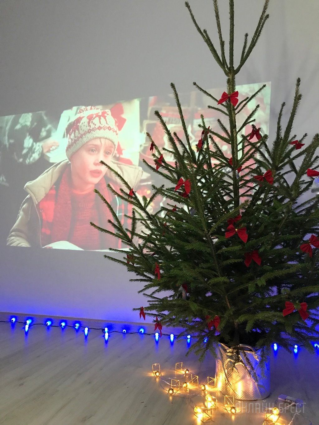 Новогодние красавицы наших читателей