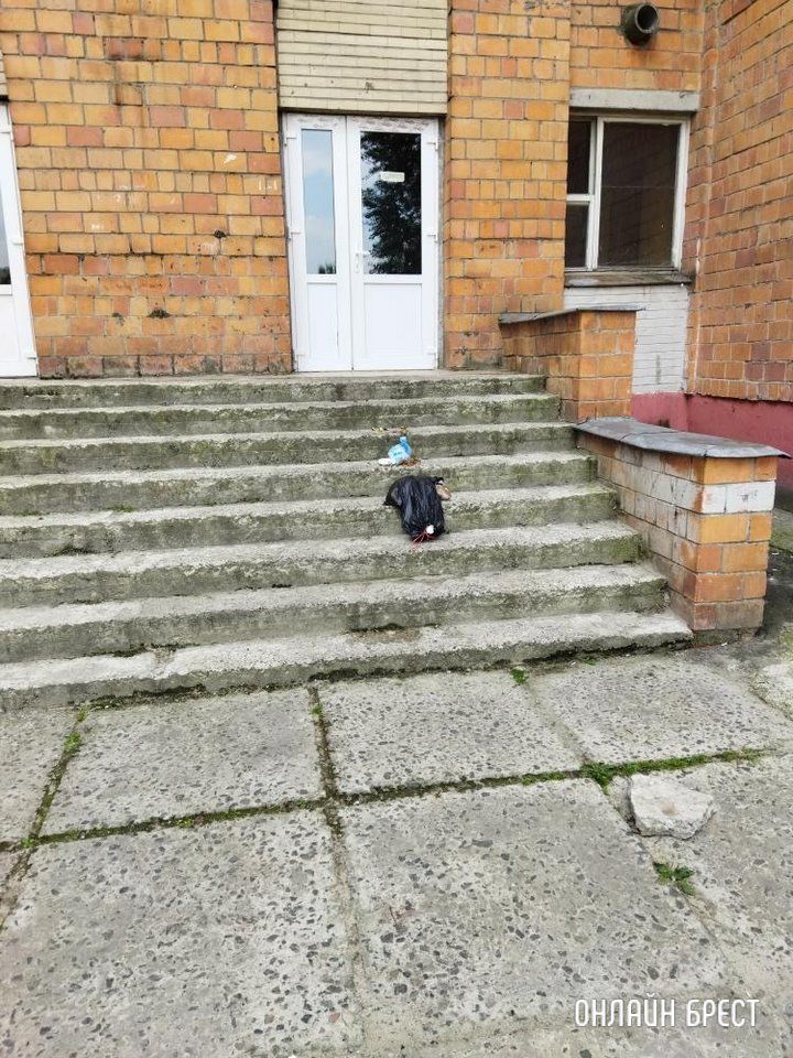 Читатель: Жильцы общежития выбрасывают мусор из окон. Брест, ул.Суворова, 108