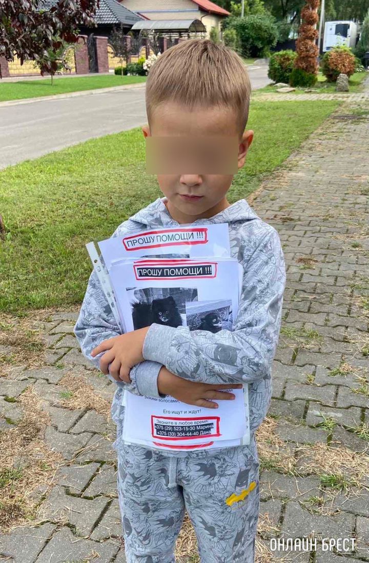 У меня огромная просьба, помогите в поиске нашего питомца! Что произошло?