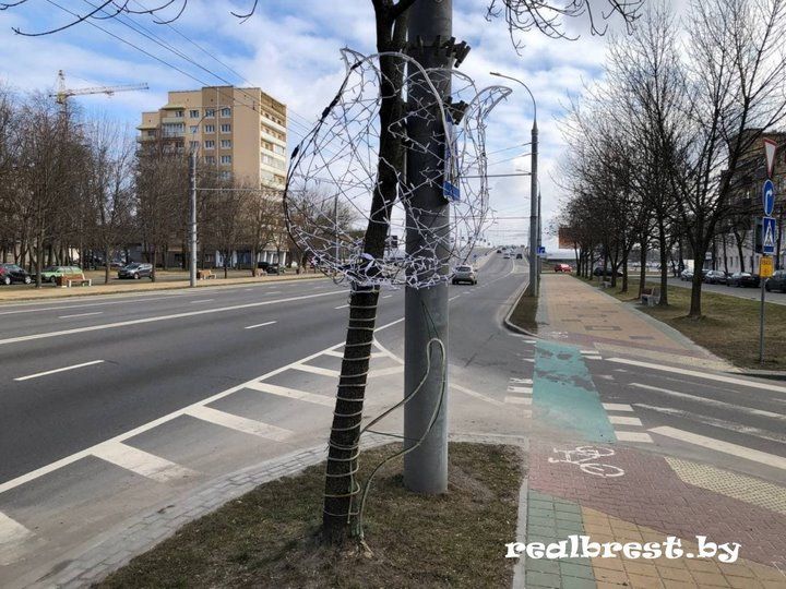 Аллею из светодиодных тюльпанов установили в Бресте