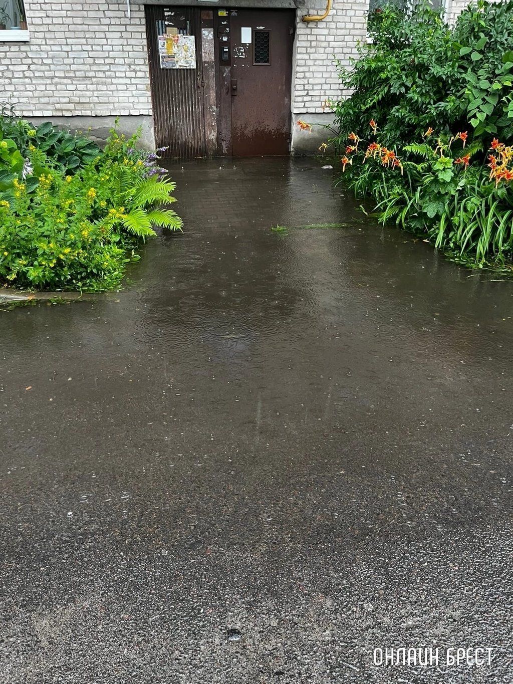 Читатель: Брест, ул.Гоголя. И так после каждого сильного дождя. Куда можно обратиться, чтобы решили данную проблему?