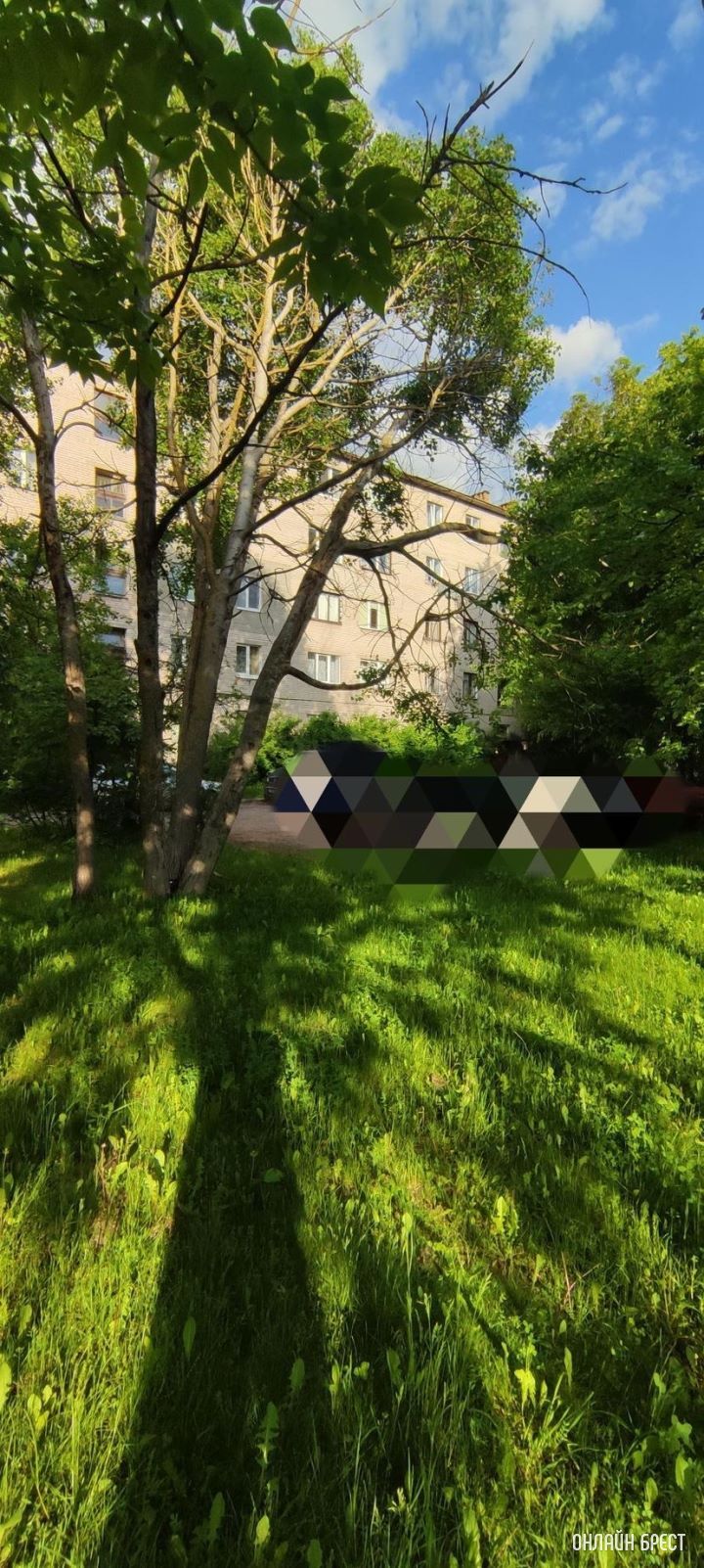 Брест ул. Молодогвардейская 2. За домом раньше стояли машины, теперь лежат деревья