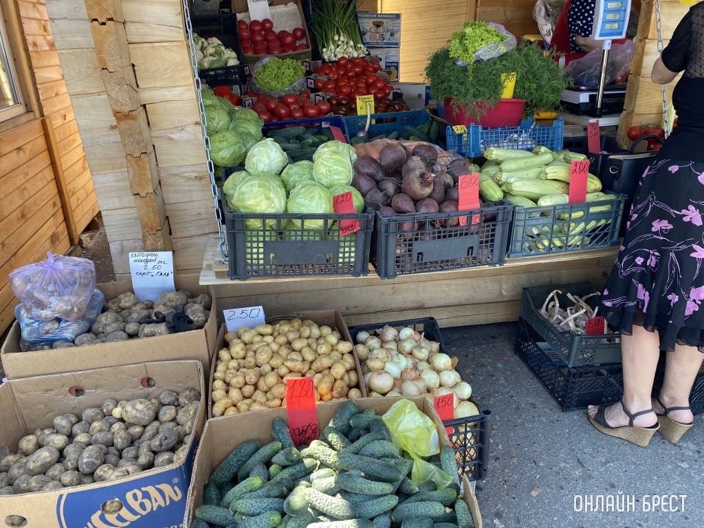 Что почем на рынке за ЦУМом в Бресте. Фоторепортаж
