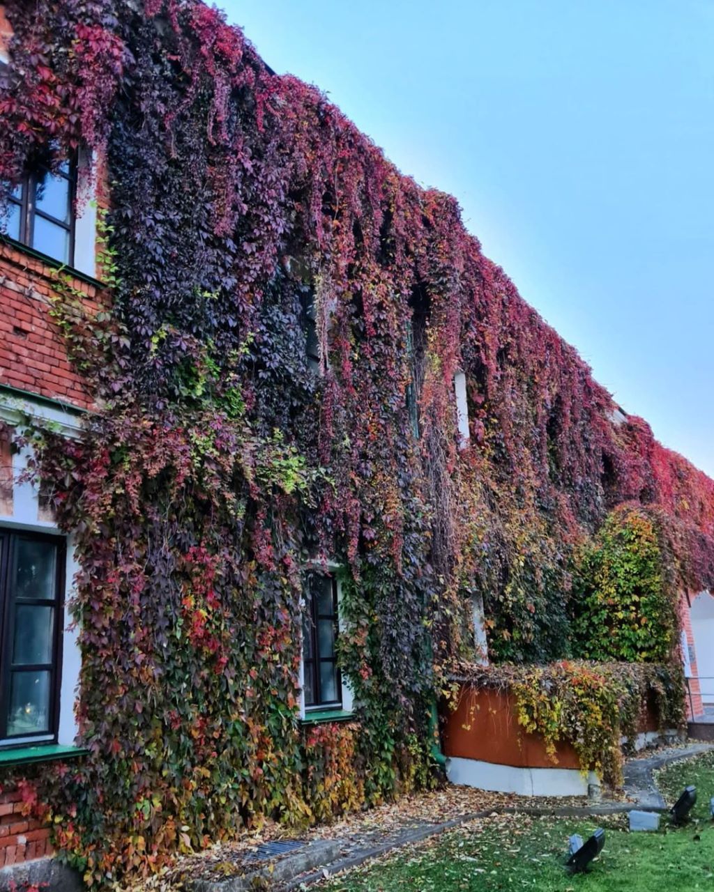 Такую красоту можно увидеть в Брестской крепости