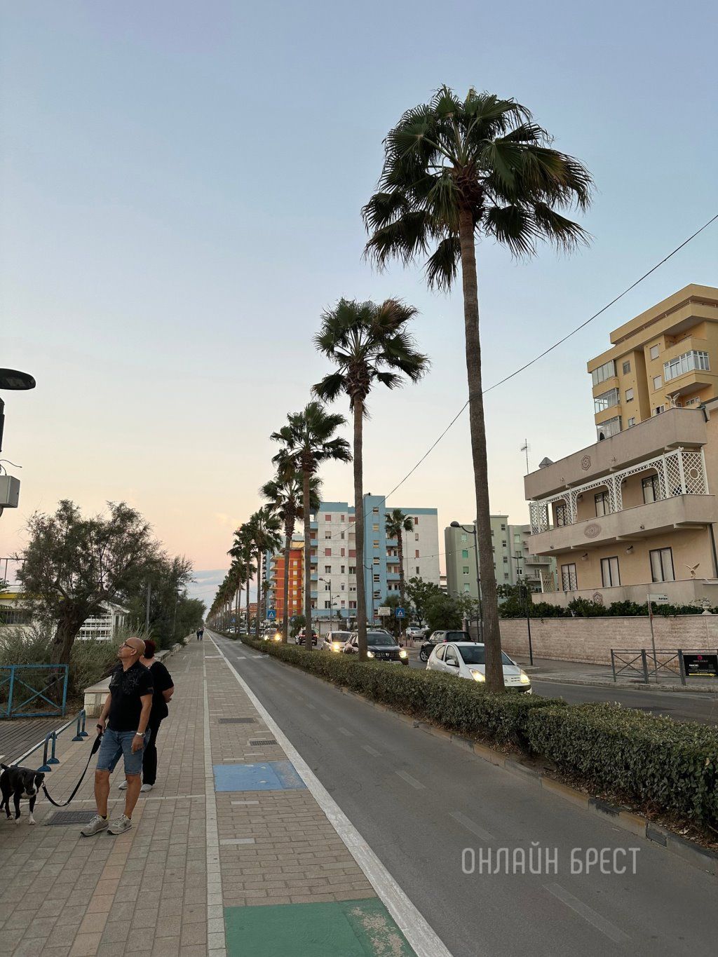 Читатель: Привет любимому Бресту из Италии, Пескара