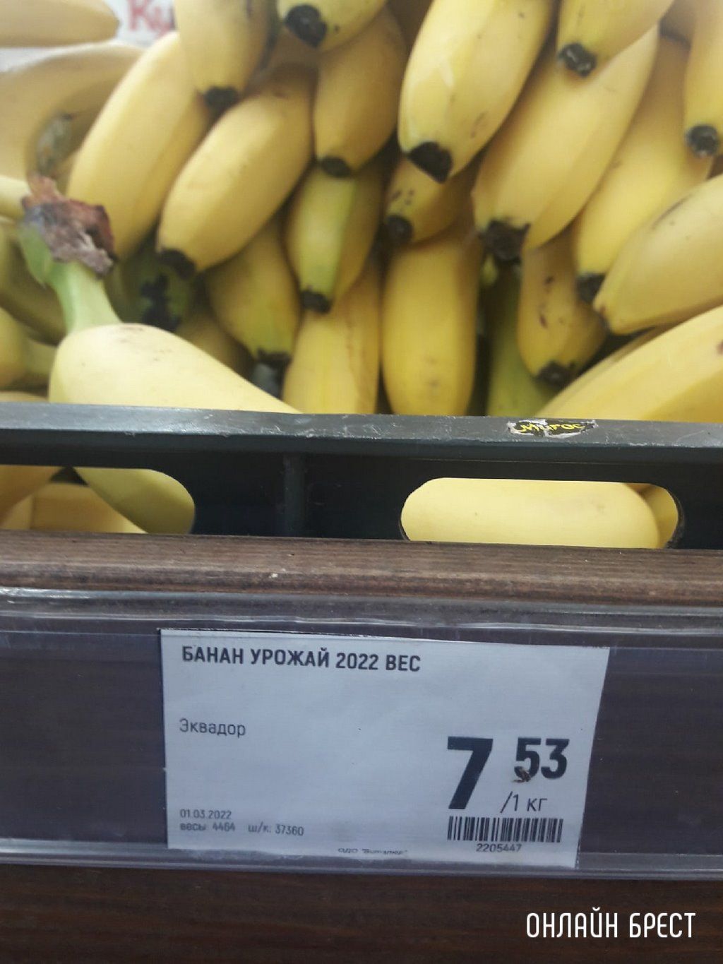 Читатель: Цена на бананы в Бресте