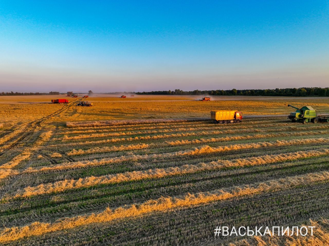 Комбайнеры в поле! Рабочий процесс уборки зерна в Брестском районе