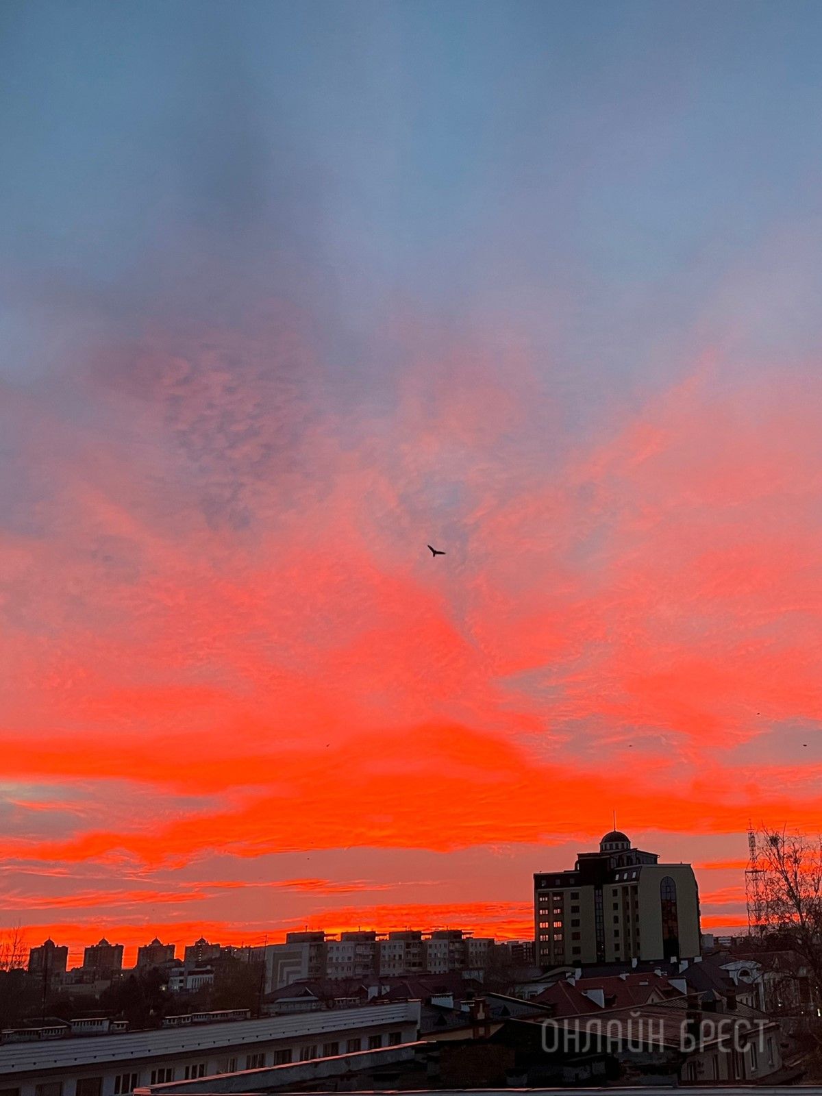 Читатель: Прекрасный рассвет был сегодня в Бресте