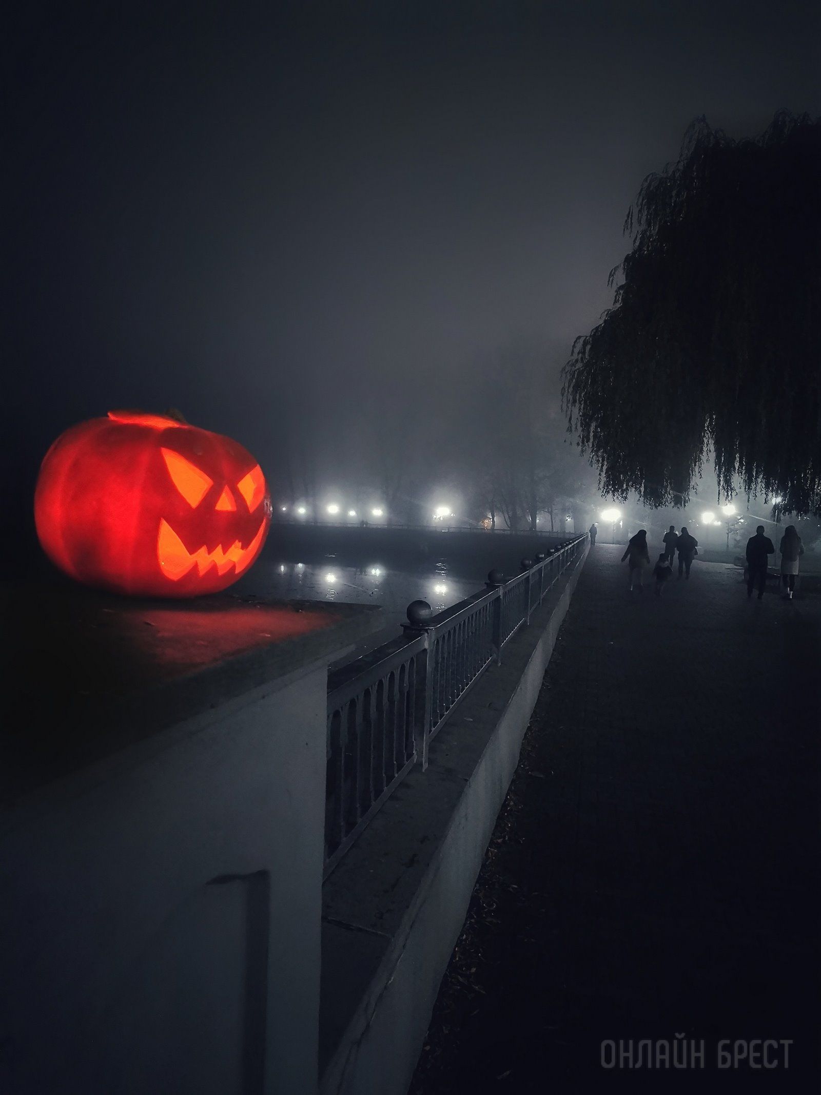 Читатель: Брест накрыло красивым туманом