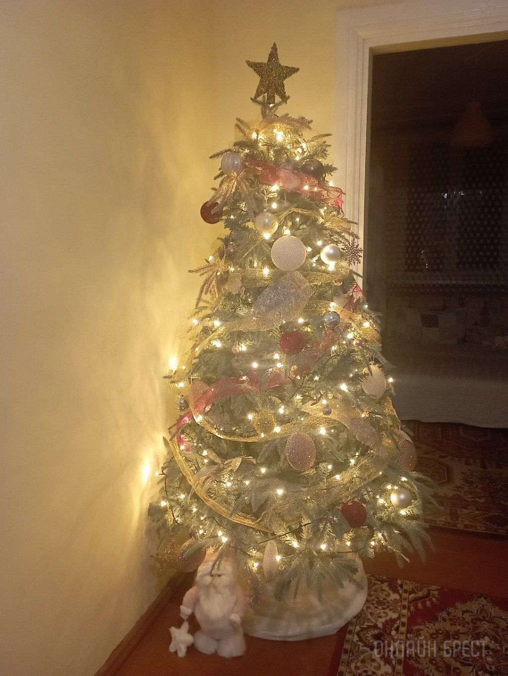 Новогодние красавицы наших читателей