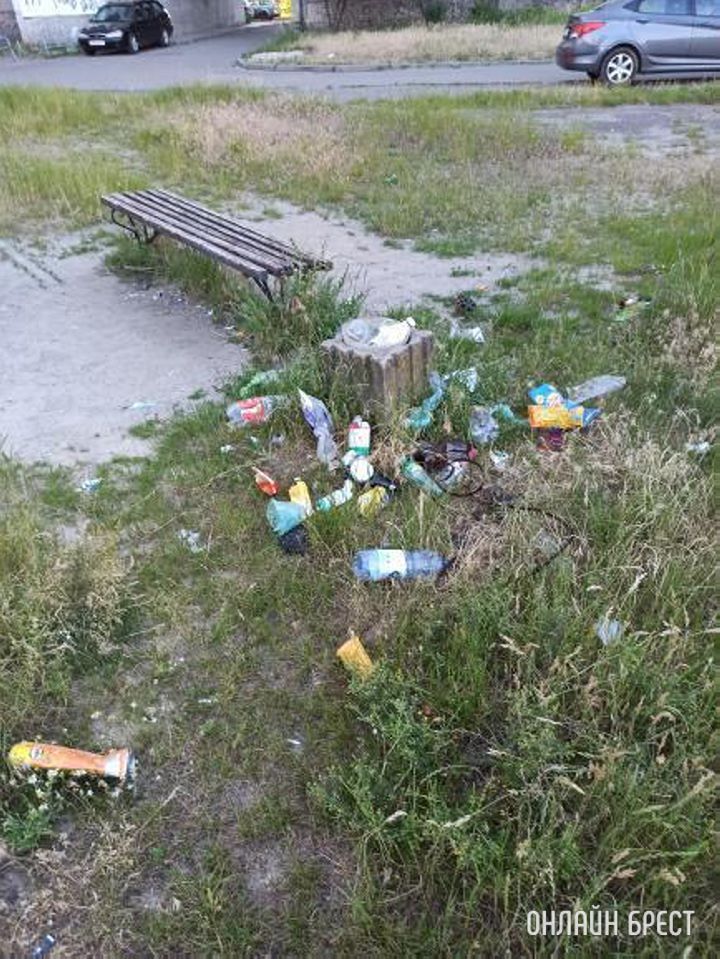 На Луцкой в Бресте возле садика. Вот что видят наши дети