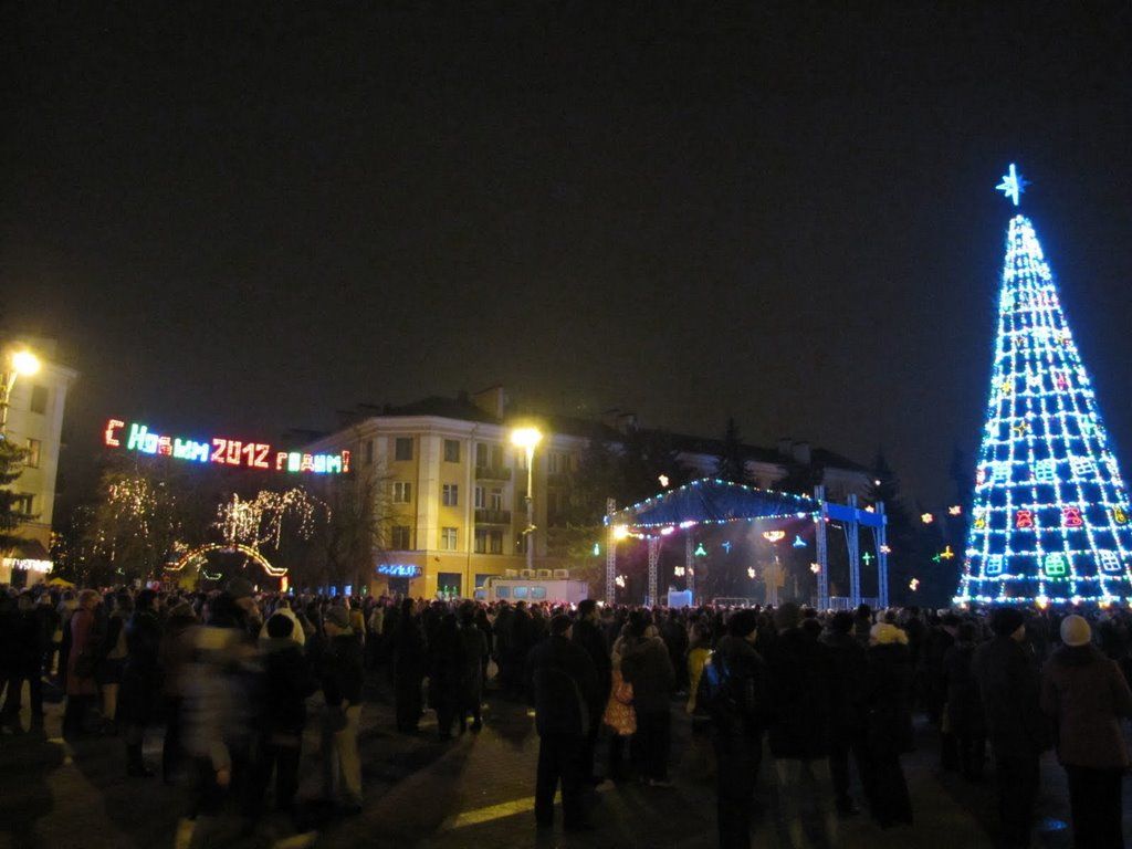 Главные ёлки Бреста в разные годы