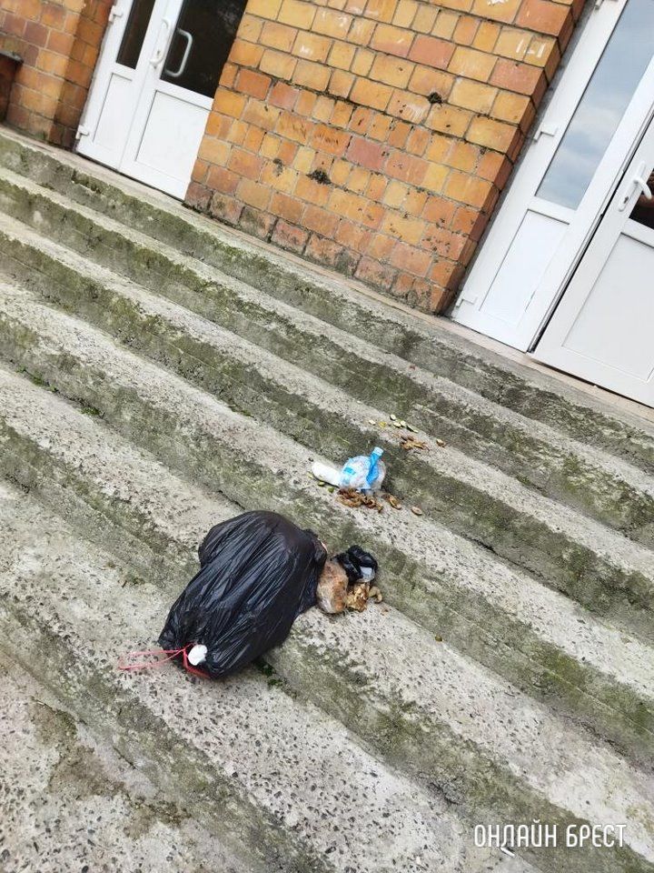 Читатель: Жильцы общежития выбрасывают мусор из окон. Брест, ул.Суворова, 108