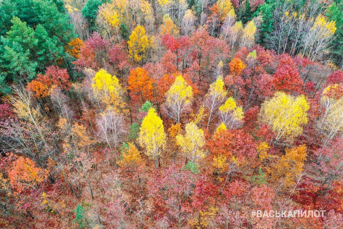 Въезд в Брест с высоты