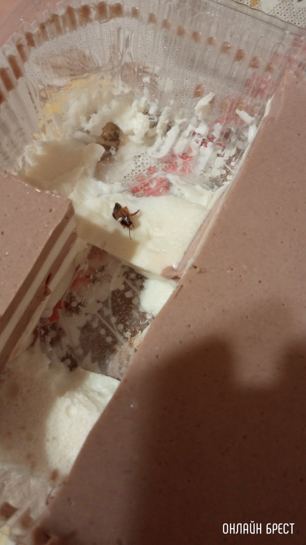 Читатель: Вот такую "вкуснятину" купили в одном из магазинов Бреста