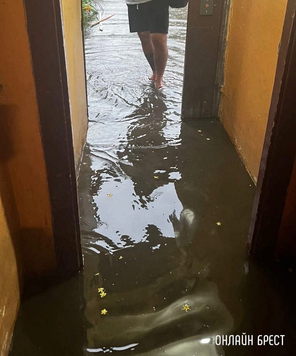Читатель: Брест, ул.Гоголя. И так после каждого сильного дождя. Куда можно обратиться, чтобы решили данную проблему?