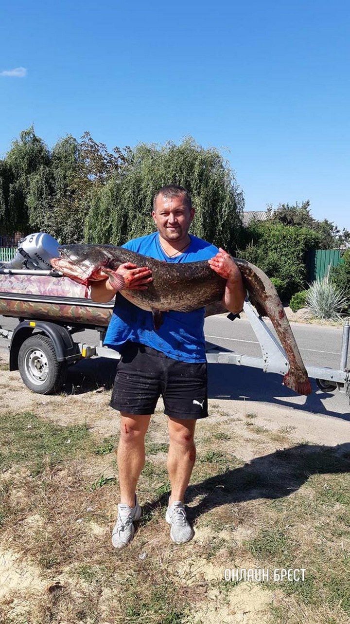 Читатель: 40 минут борьбы и рыба в лодке. Вес рыбы: 22 кг.