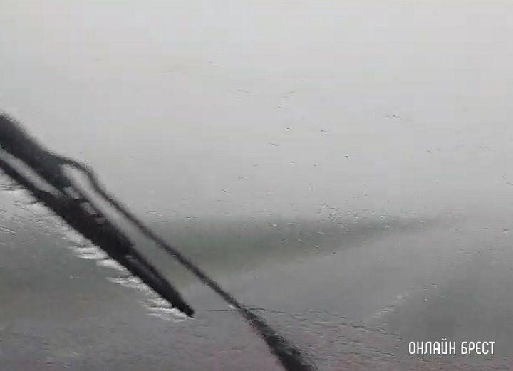 Читатель: А так сейчас поливает под Кобрином. Видео