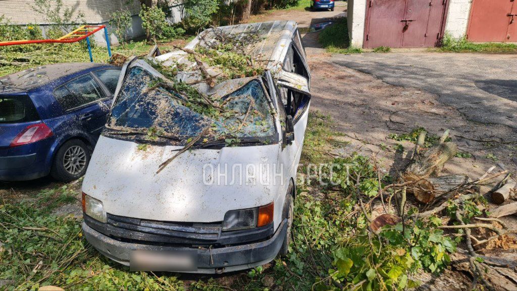 Читатель: Вот что стало с машиной, на которую упало дерево в Бресте
