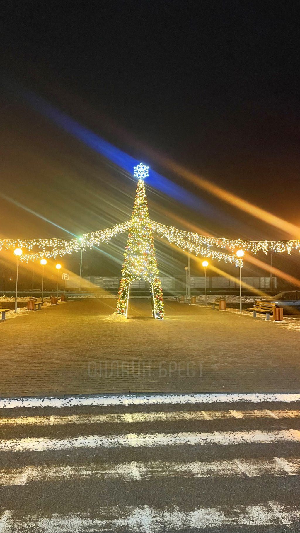 Ёлка возле Короны на Московской в Бресте. Смотрите фото