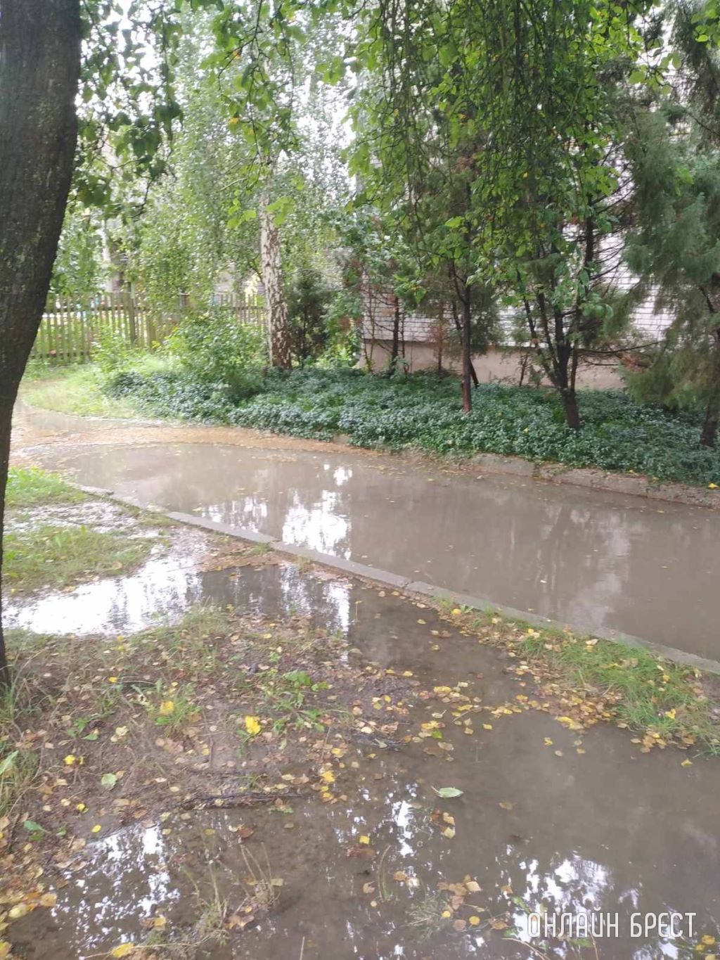 Вот так всегда после дождя, выйти нереально, особенно с ребёнком. Брестский район, д Ковердяки, ул. 40 Лет Победы, д. 9