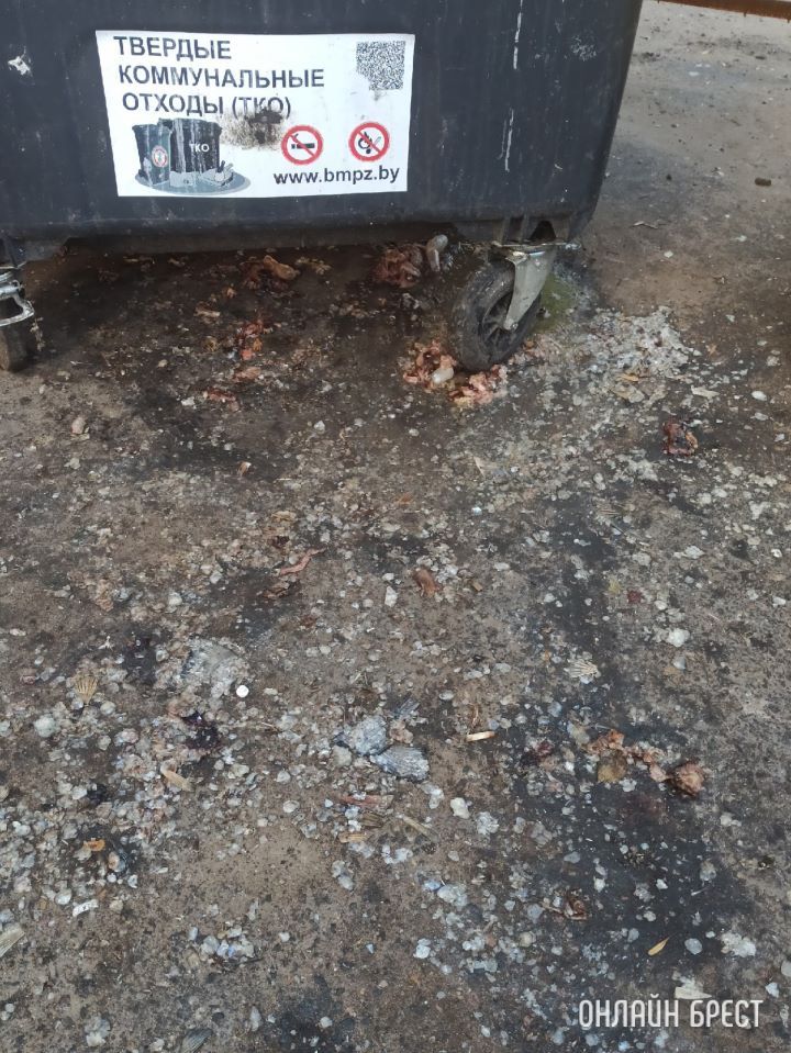 Брест, Машерова, 39 .Так выкидывают в Бресте мусор