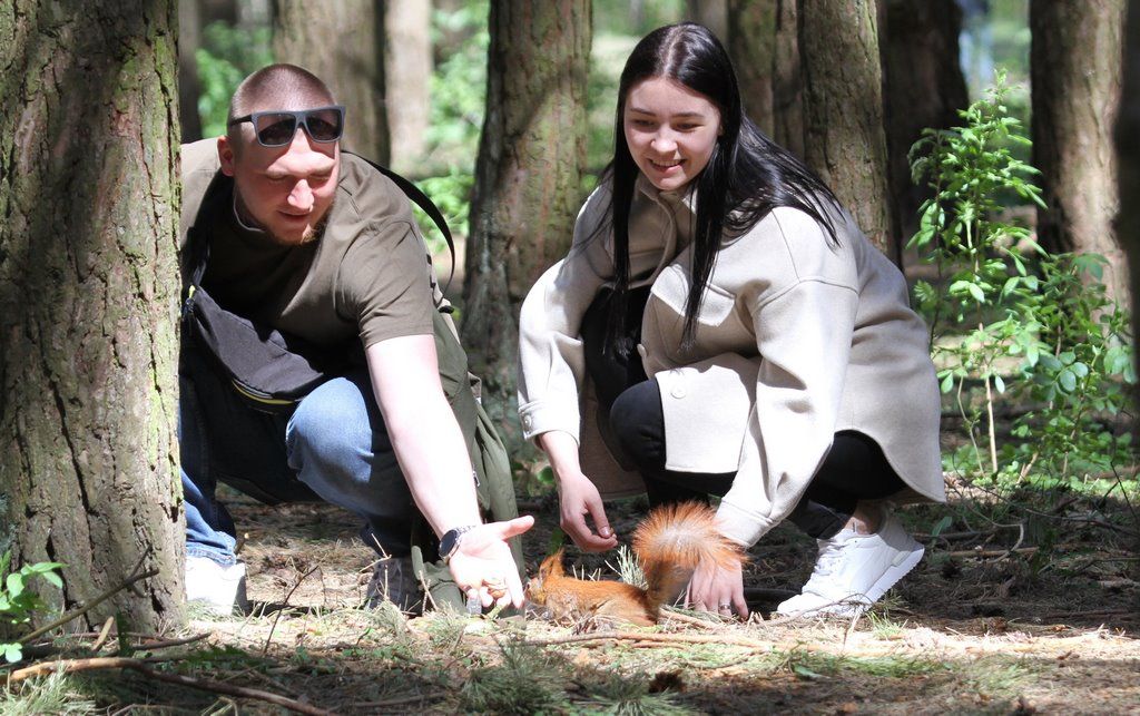 Читатель: В парке Воинов-интернационалистов много белок. Любят и выпрашивают орехи
