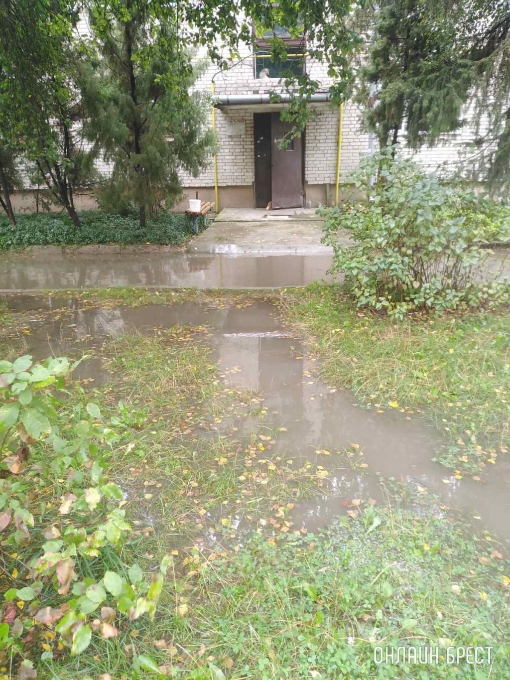 Вот так всегда после дождя, выйти нереально, особенно с ребёнком. Брестский район, д Ковердяки, ул. 40 Лет Победы, д. 9