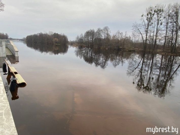 Скамейки в воде. Как выглядит Набережная в Бресте