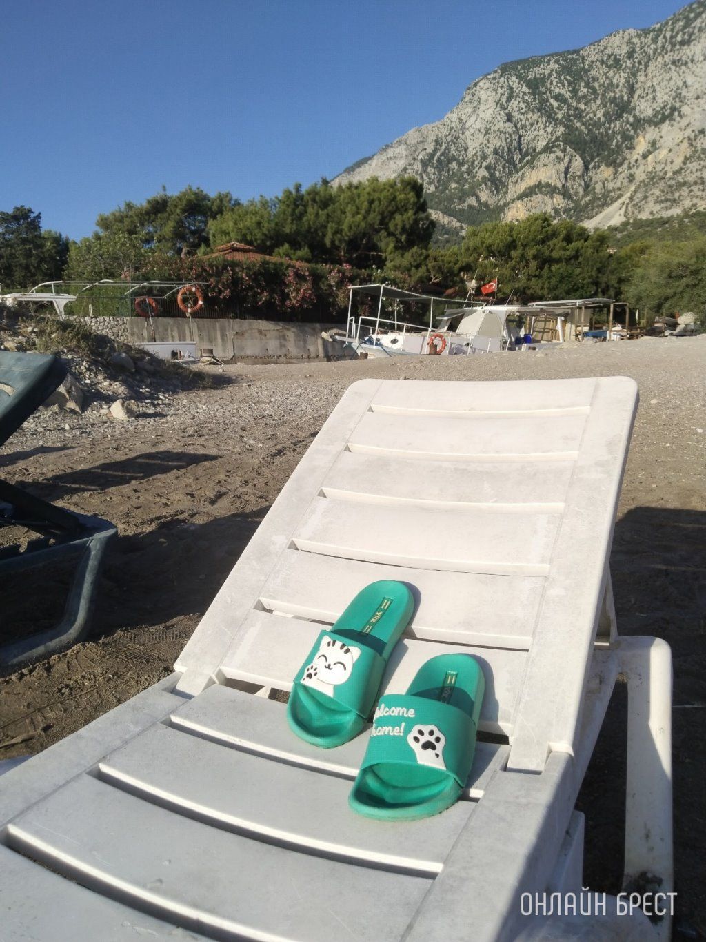 Читательница: Котапки на отдыхе :)) Привет Бресту из Бельдиби (Турция)