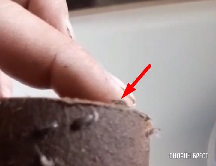 Читатель: Вот такая «живая вода» на Дубровке в Бресте (ул.Высоковская д. 99)