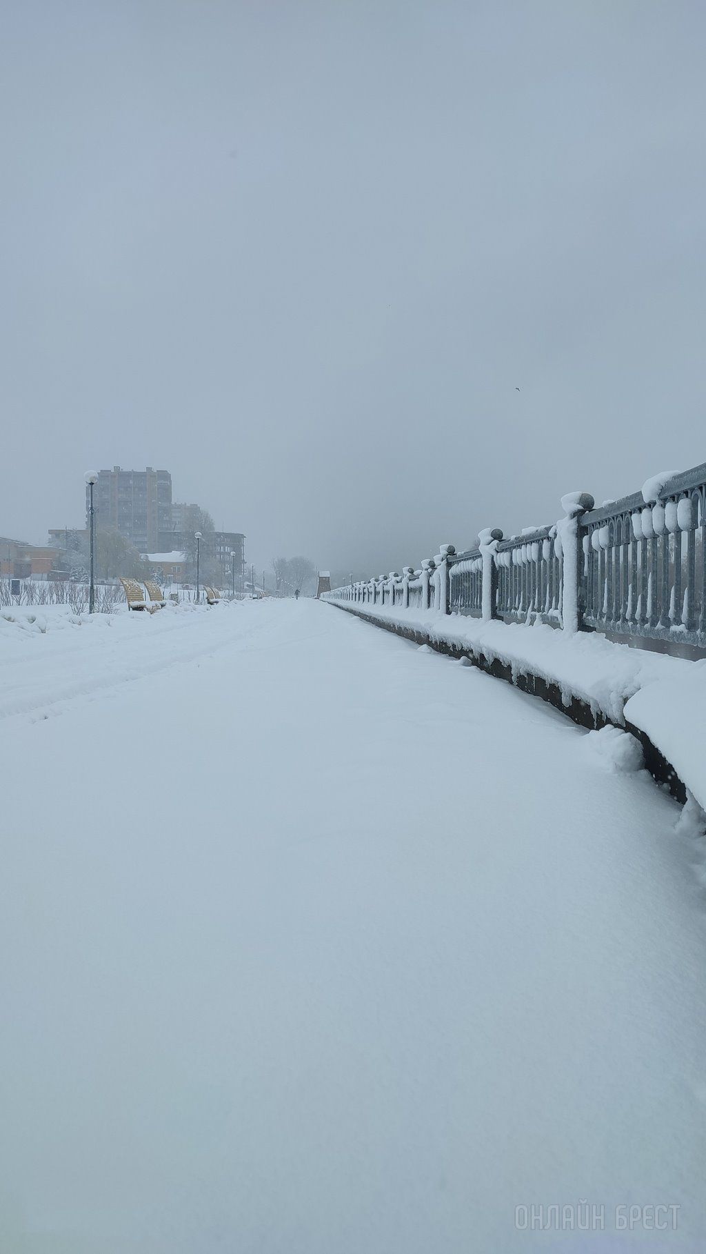 Читатель: Снежная красота! Так выглядит сегодня Набережная Бреста