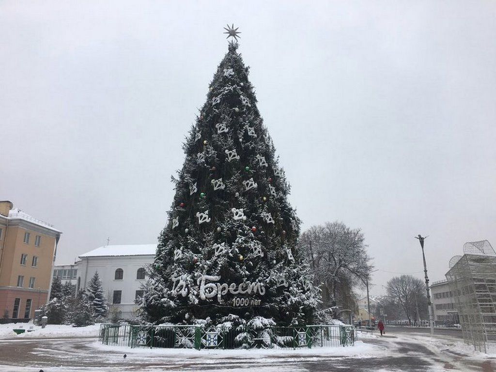 Главные ёлки Бреста в разные годы