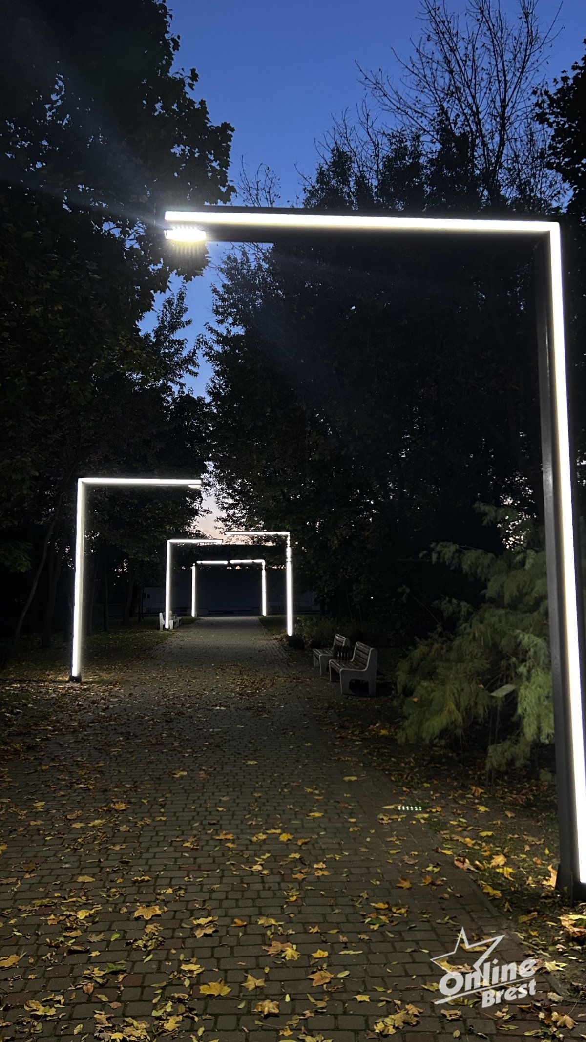 Красота осеннего Бреста: игра света и теней в парке