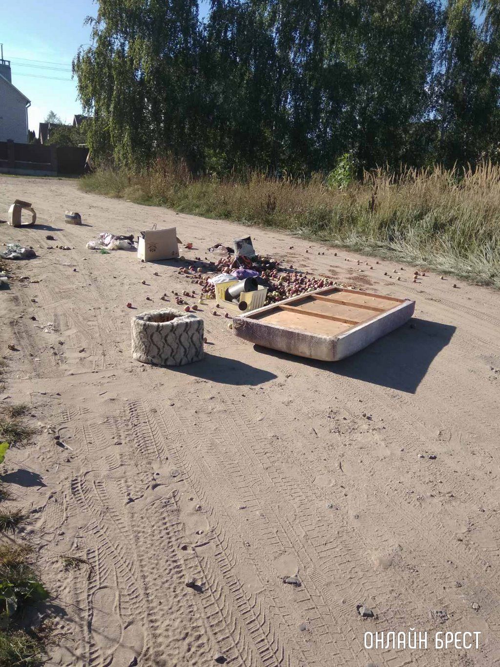 Читатель: 03.09.22. Мусор на улице Абрикосовой, г. Брест. Нет слов. Как люди могут довести до такого беспорядка?