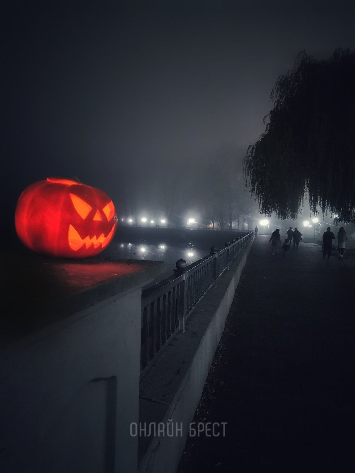 Читатель: Брест, Набережная. Фото были сделаны год назад