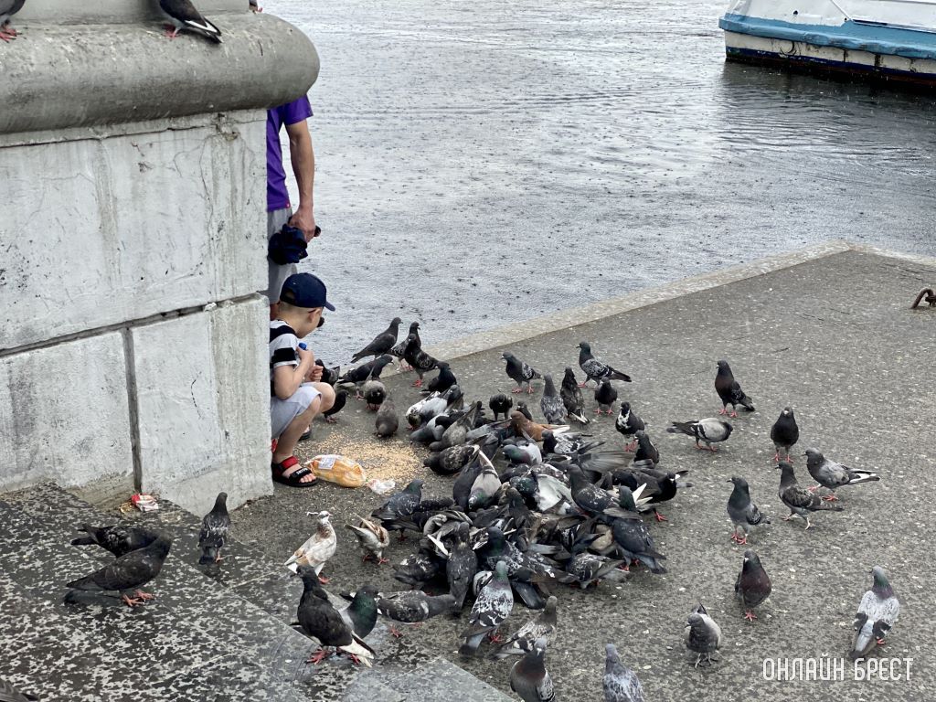 Прогулка по Набережной Бреста
