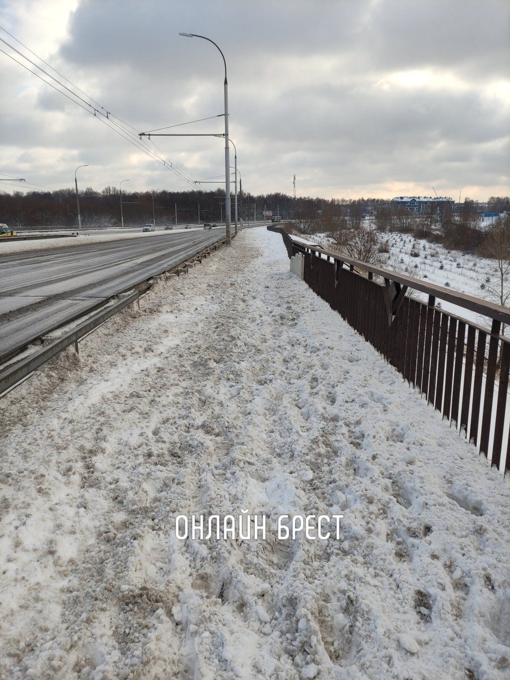 Читатель: Гузнянский мост в Бресте