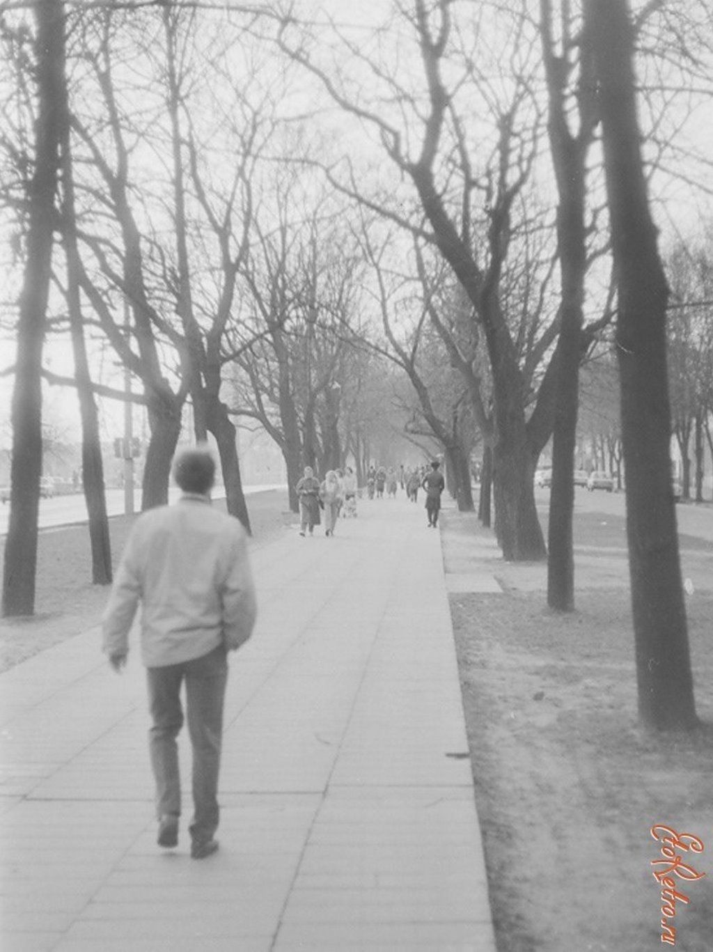 Брест, 1980-е. Подборка старых фотографий