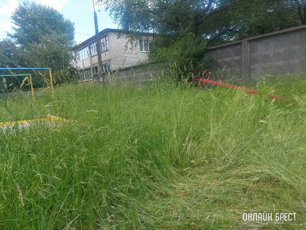 Читатель: Так выглядит детская площадка по ул.Шоссейной, 7. После прогулки во дворе, у ребёнка с одежды сняли клеща