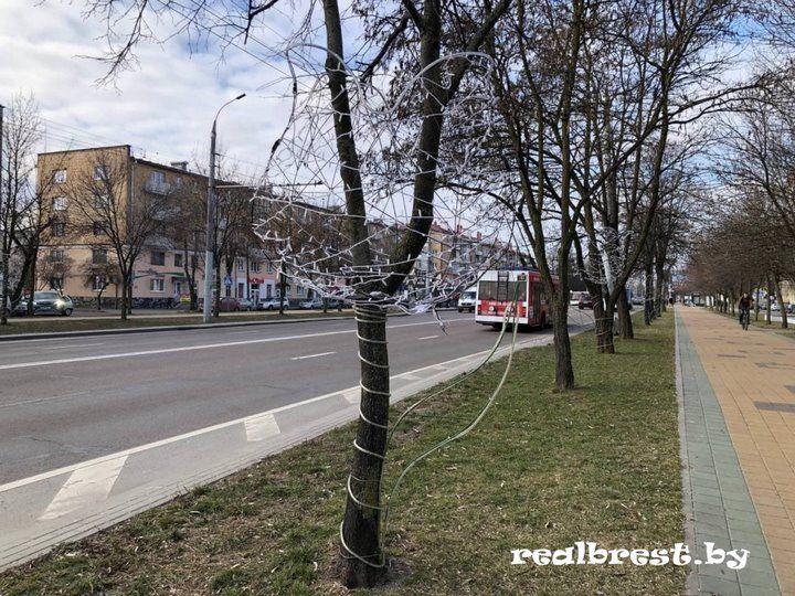 Аллею из светодиодных тюльпанов установили в Бресте