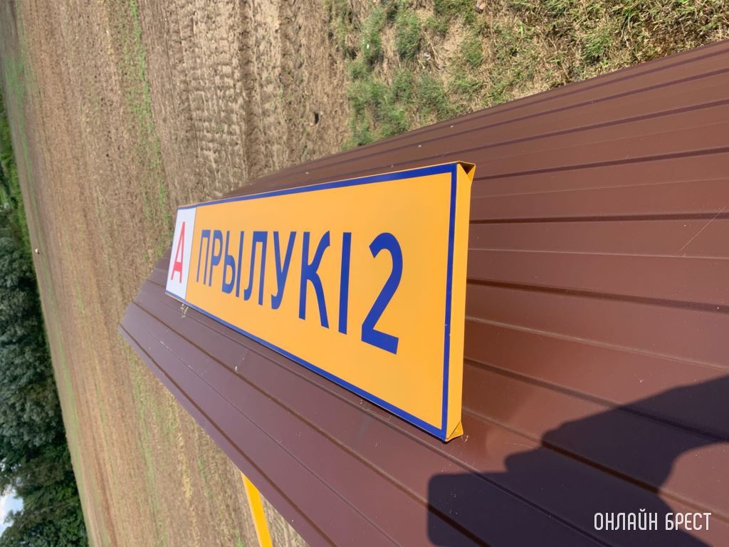 Брестский район. В Прилуках ветром повалило остановку