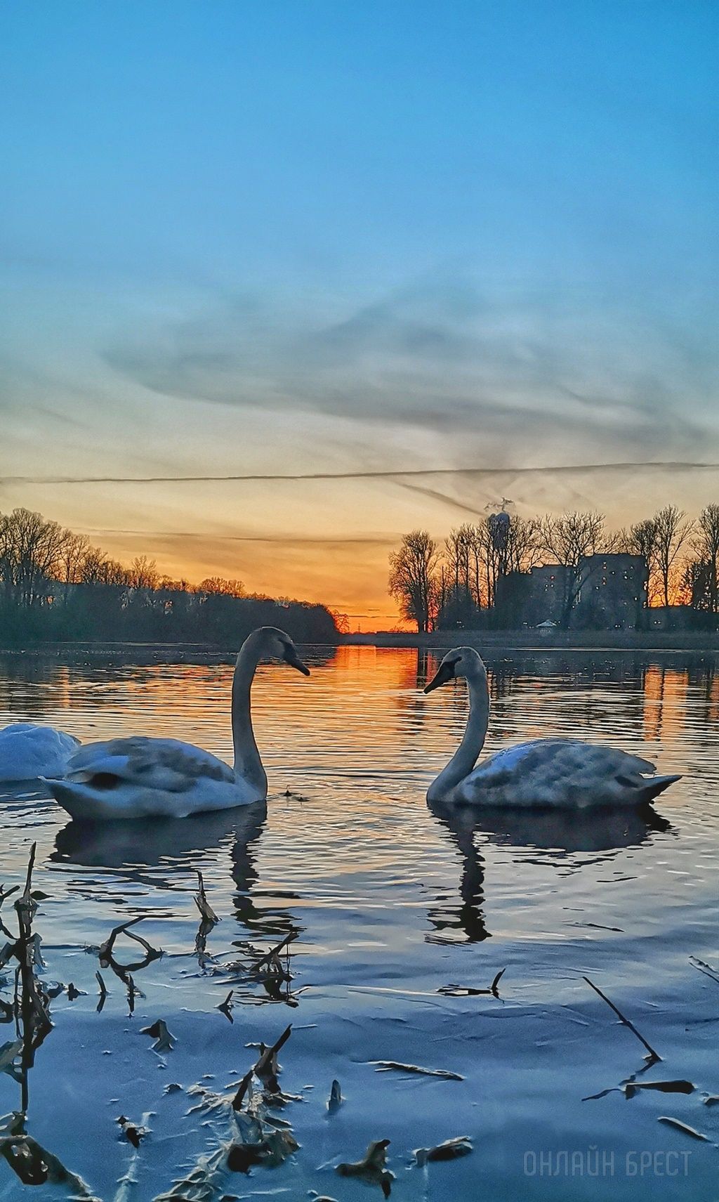 Читатель: Красиво! Набережная Бреста в апреле