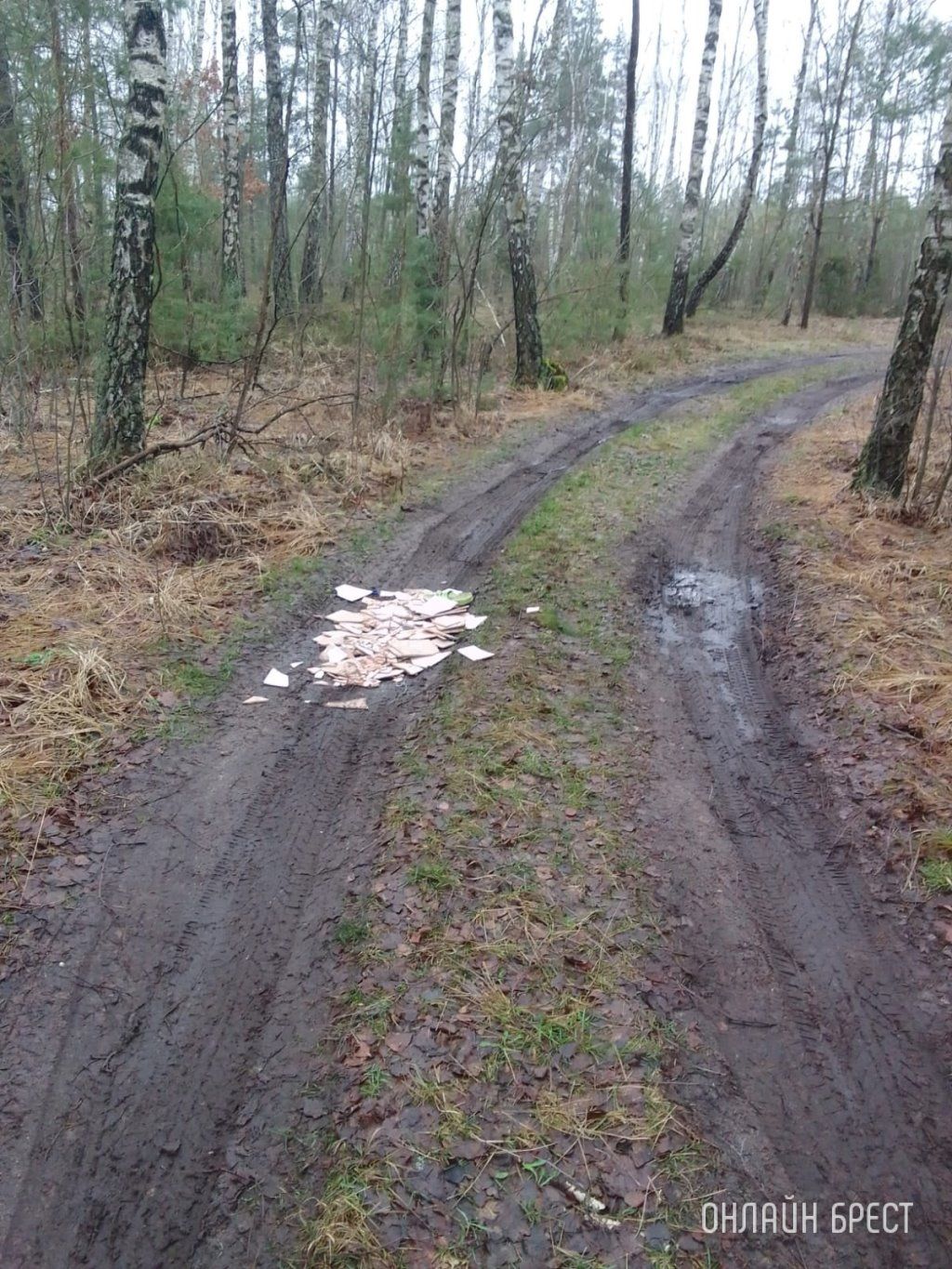 Читатель: Водитель автомобиля высыпал мусор на дорогу. Случай произошёл в лесу недалеко от населенного пункта Мухавец, Разве это нормально?