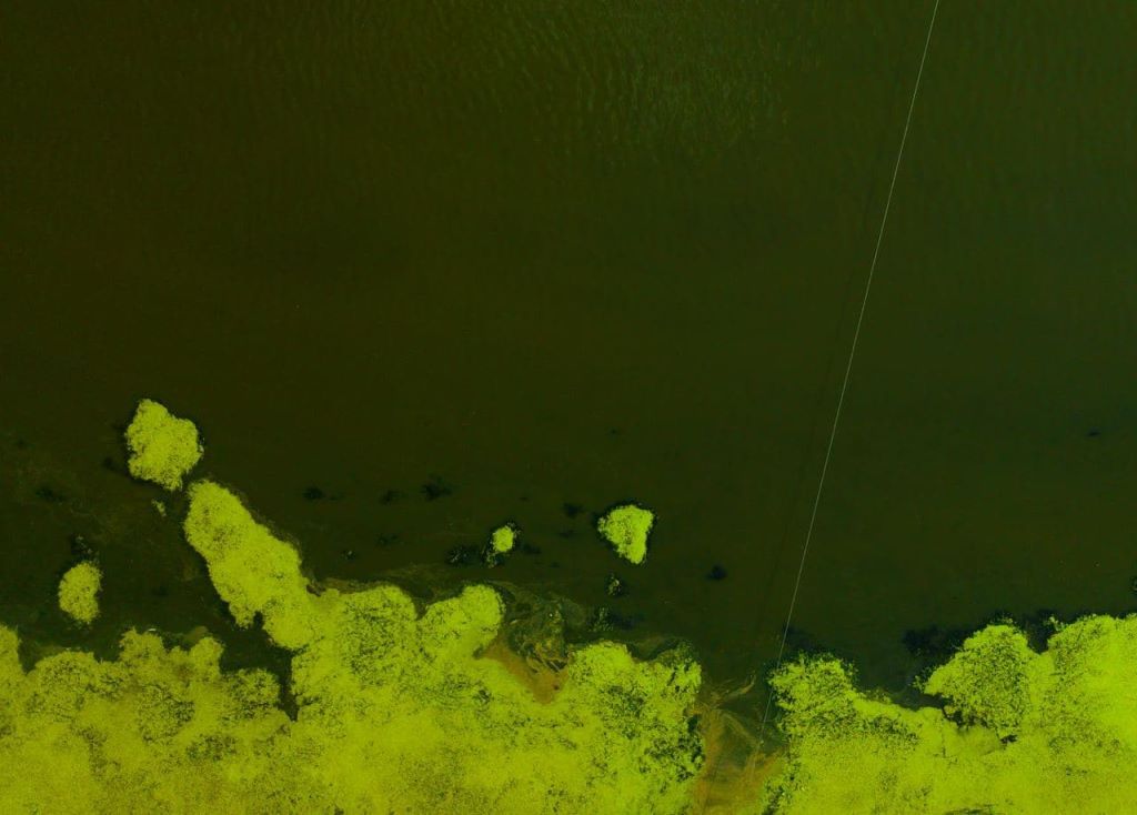 Экотропа в биологическом заказнике «Споровский» с двумя паромными переправами через реку Ясельда. Протяженность тропы 1,5 км