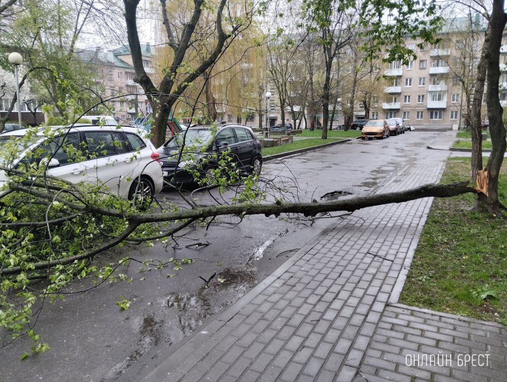 Читатель: Сегодня в Бресте, за остановкой бульвар Космонавтов